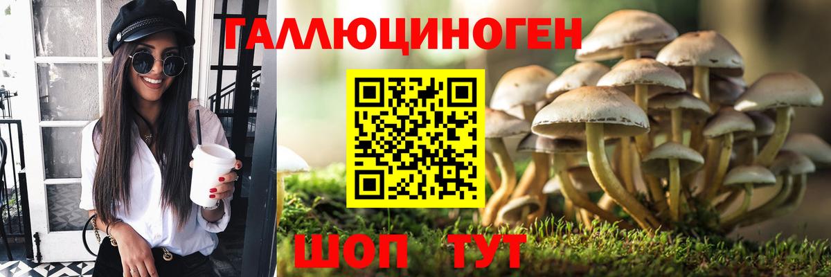 Волоколамск  Псилоцибиновые грибы Psilocybe  Галлюциногенные грибы MAGIC MUSHROOMS  Вход с VPN 